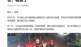 南充爆料小三案件最新,一场婚姻的裂痕与舆论的漩涡