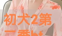 初犬第二季在线观看,续写热血传奇，在线观看激情再燃
